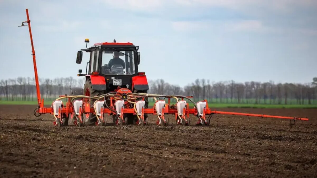 Фото: Виталий Тимкив / РИА Новости