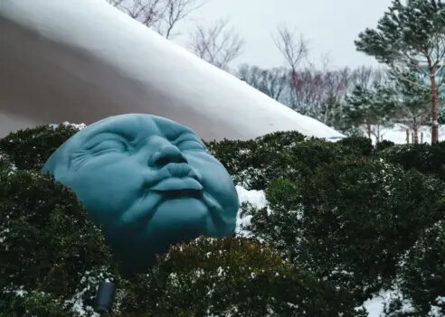 Фото: Варвара Вострокнутова, «КИ»📷
📷
📷
