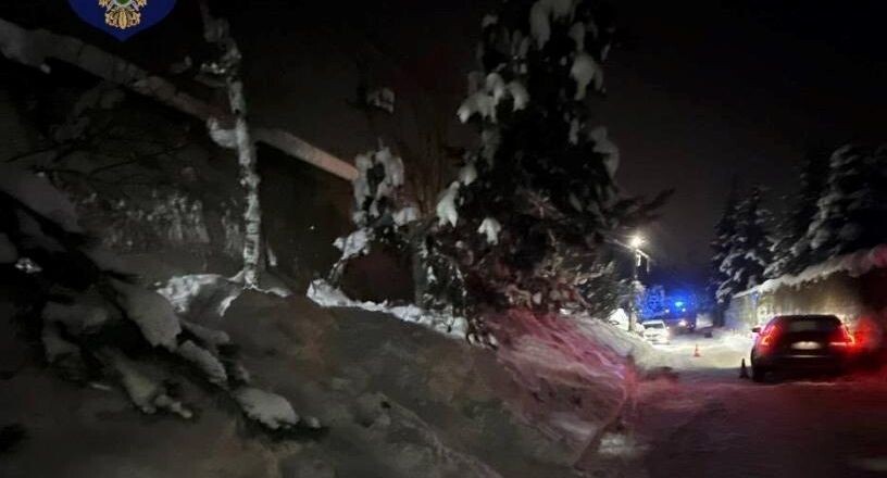    прокуратура Московской области / Telegram