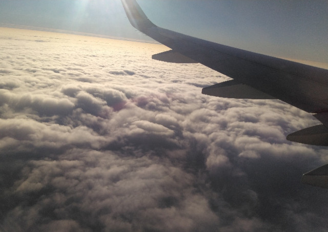    Фото: Олег Солдатенков