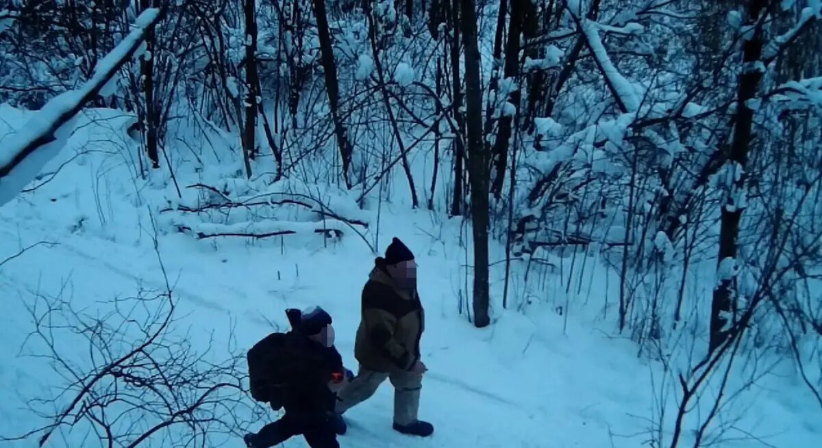    Фото: кадр видео комитета по природопользованию Петербурга