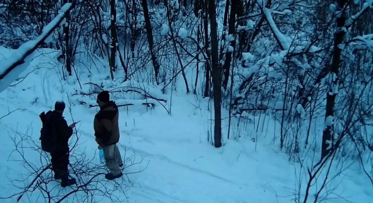    Фото: кадр видео комитета по природопользованию Петербурга