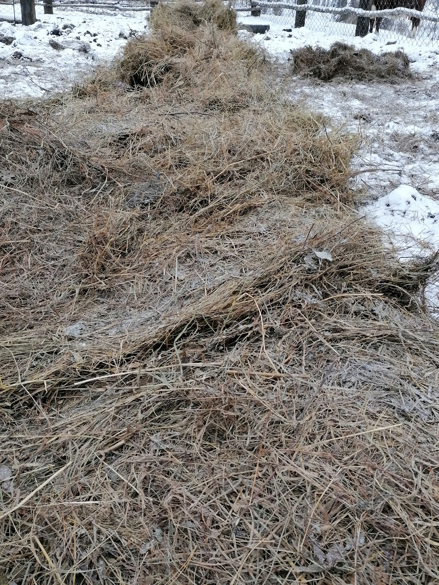 Ужин для рогатых. 