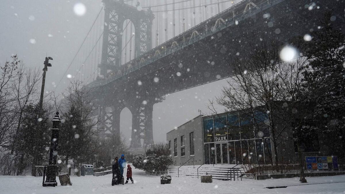 Фото: REUTERS/Bing Guan