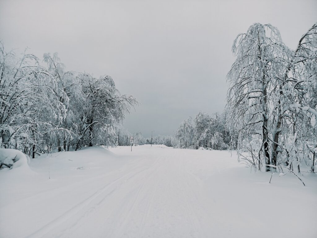    Фото: В курсе.ру Ульяна Бажанова