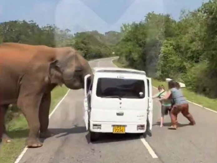    Стоп-кадр с видео Mash | t.me/mash/71368