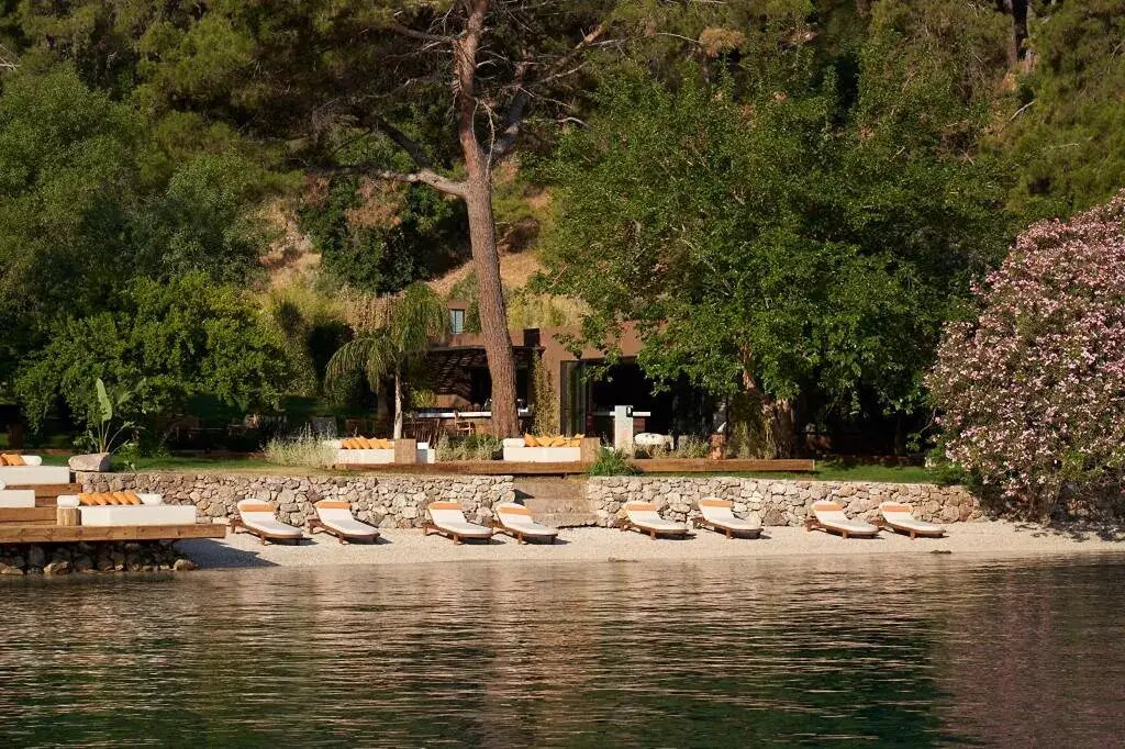 Yazz Collective, Fethiye