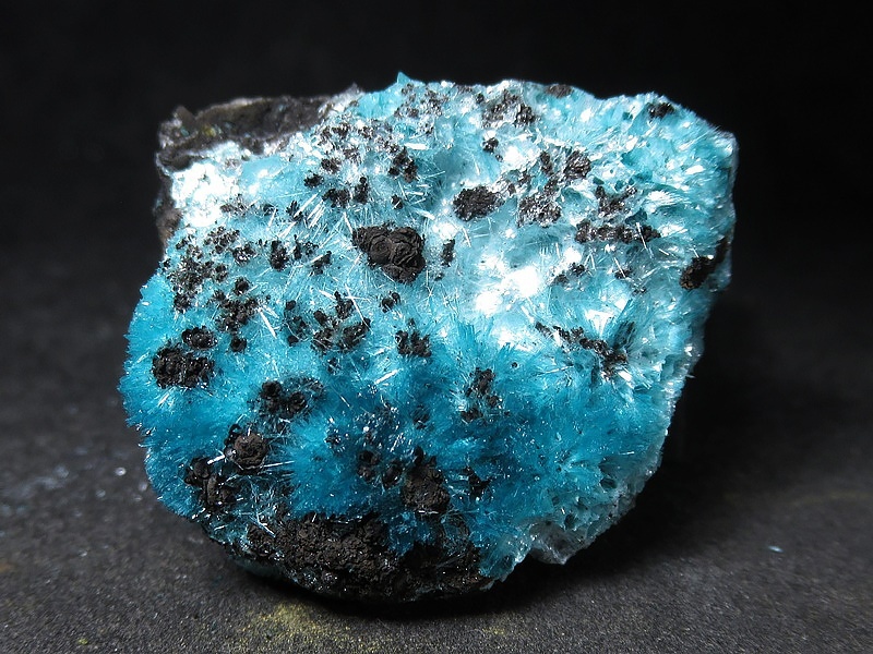 Фотография из интернета