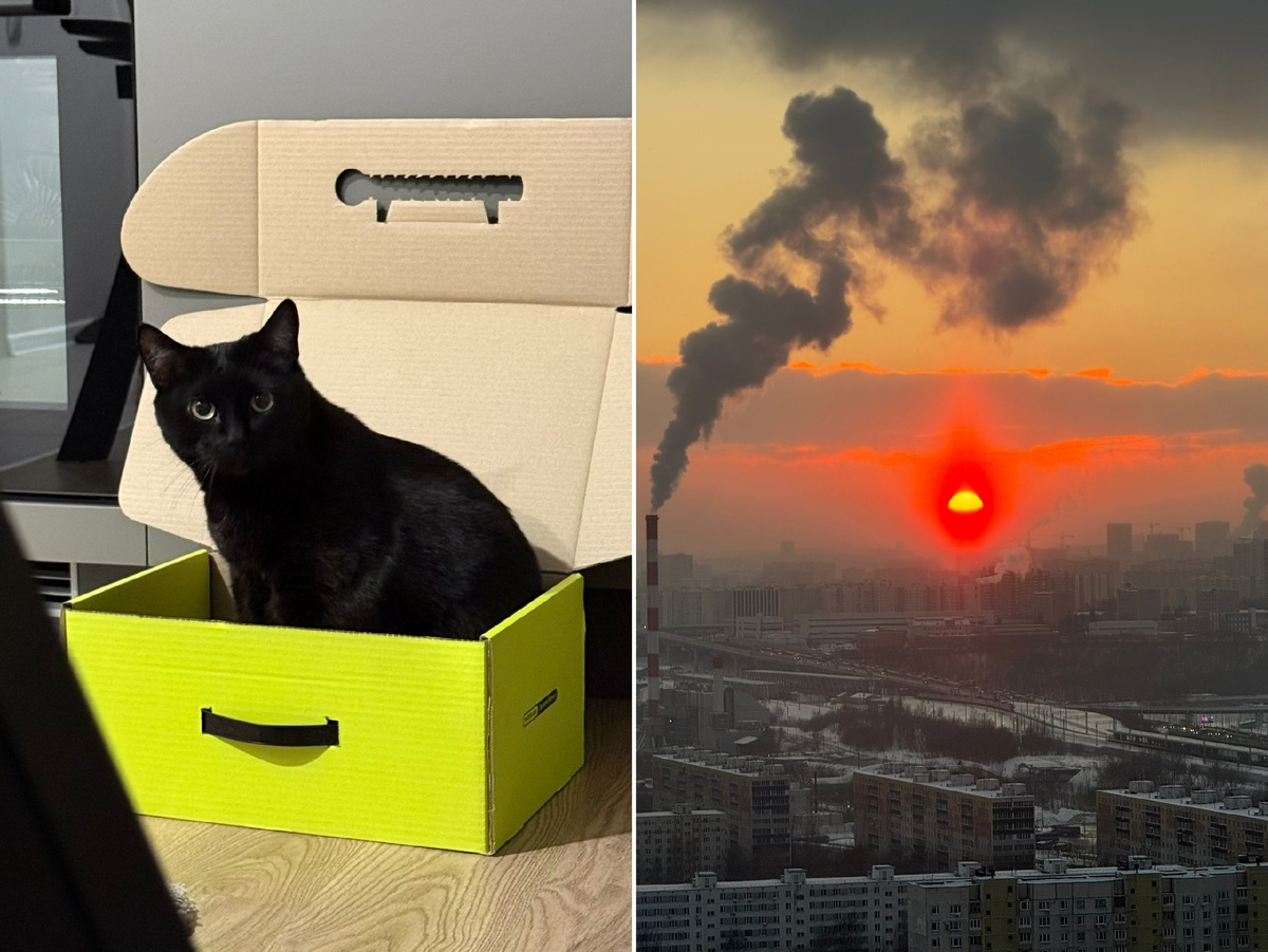 Фото автора канала.