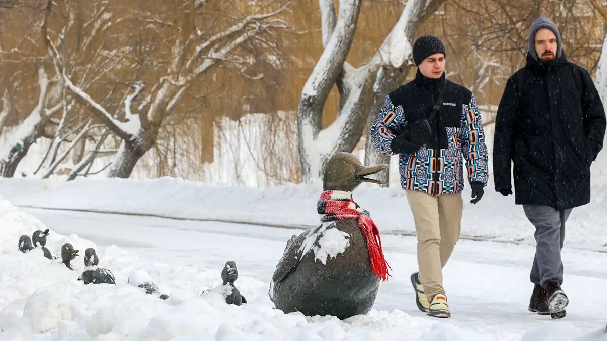    Фото: vm.ru Евгений Иванов