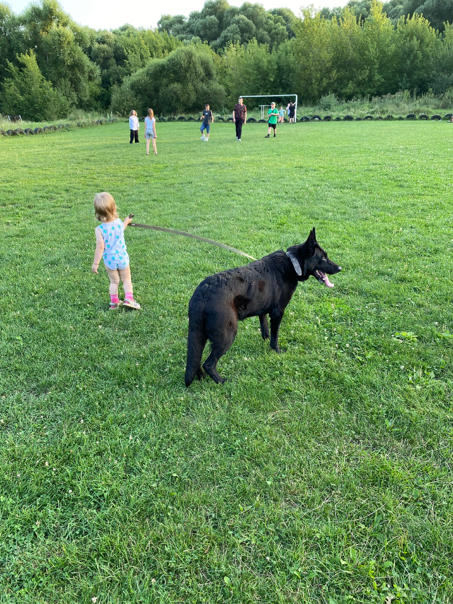Несмотря ни на что, собака совершенно адекватная. Мы с дочерью, конечно, рядом, но никогда не доверили бы поводок Лельке, если б это могло быть опасным