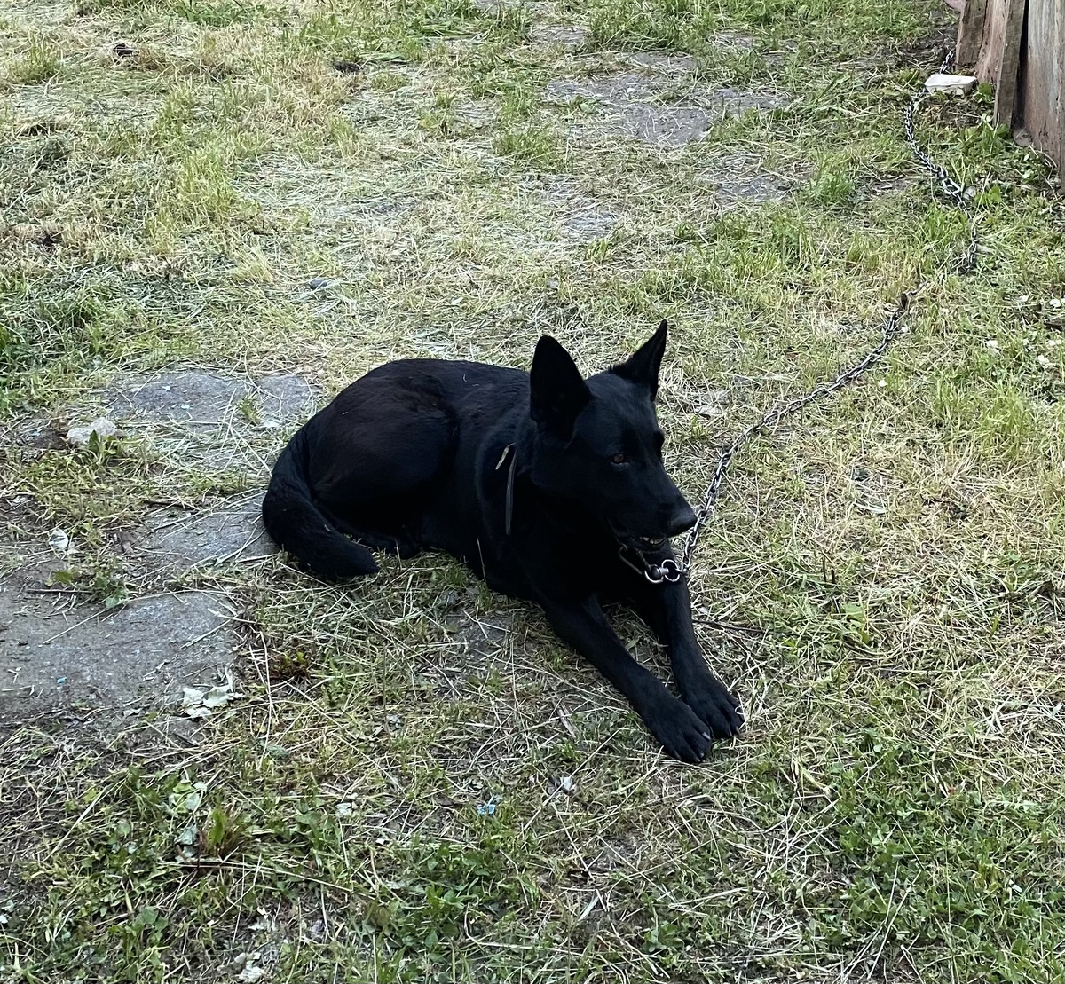 Джина во время путешествия в Ставропольский край