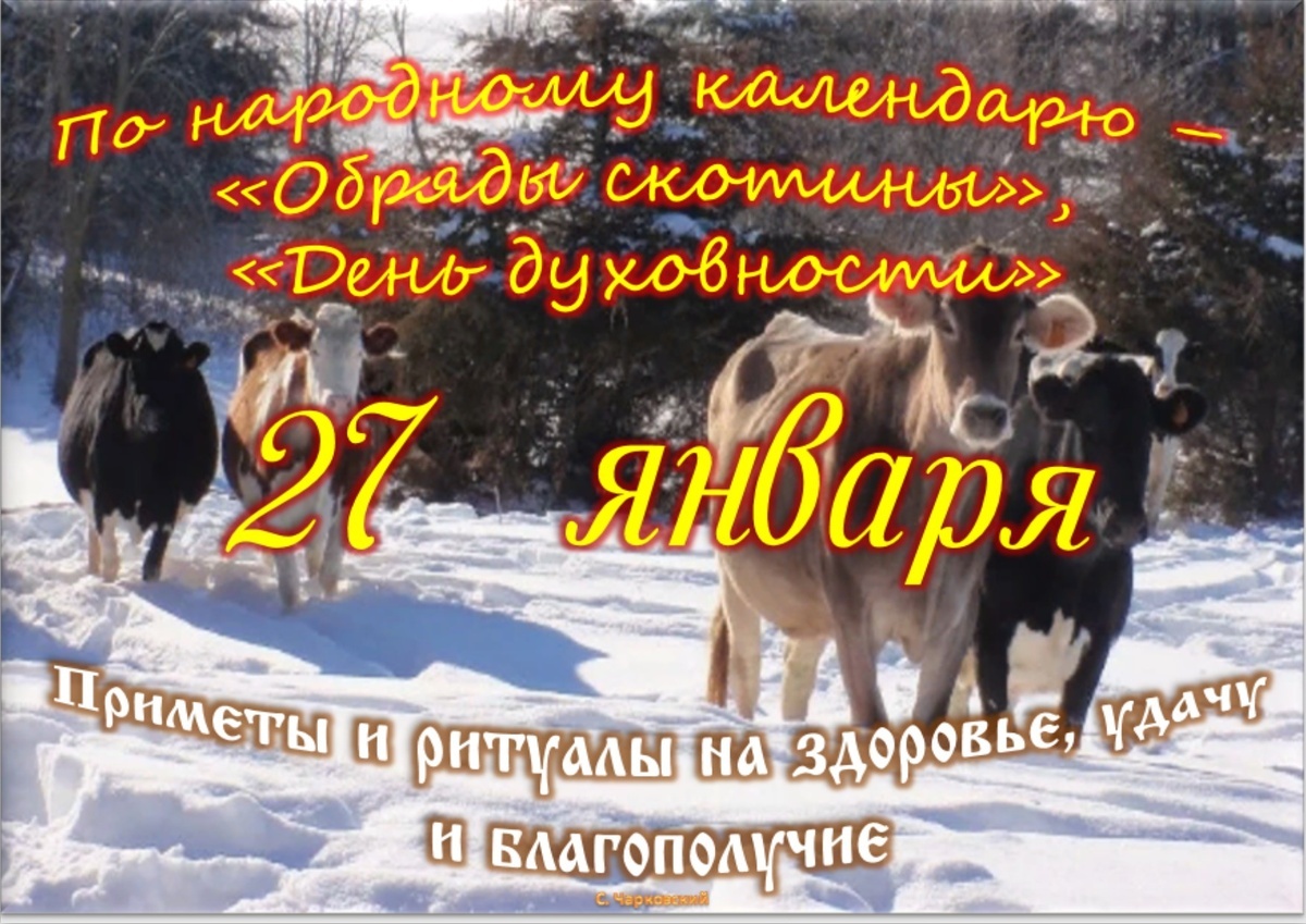 Встречаем новый день