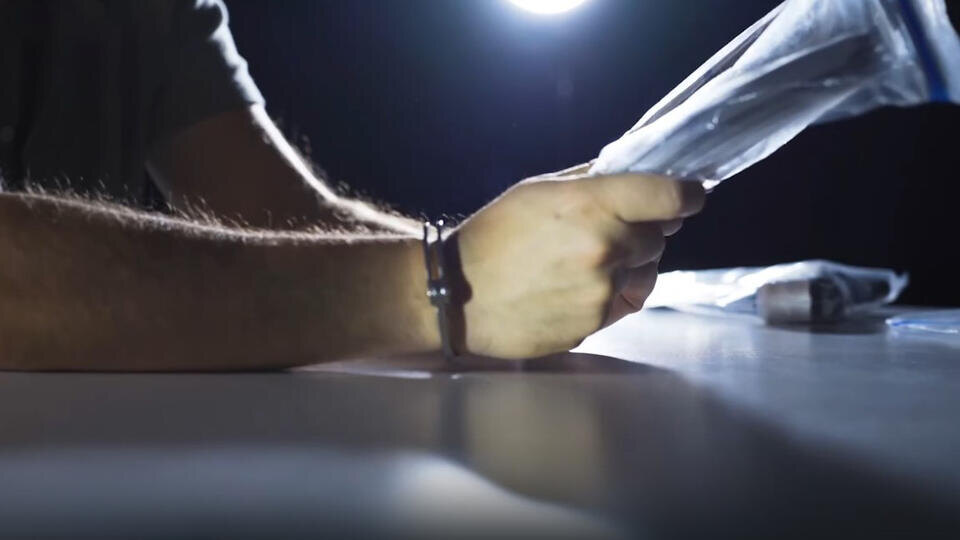 ФОТО: Кадр из программы "Как устроен мир", РЕН ТВ