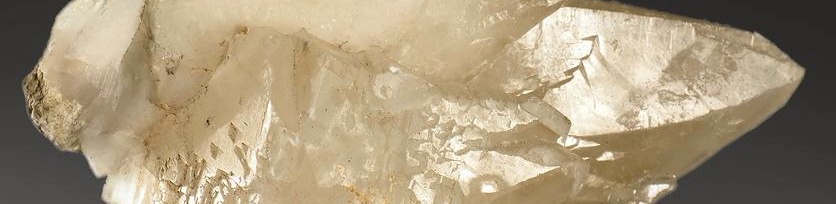 Для контактов: angelica.keiner@yandex.ru или floransia@yandex.ru