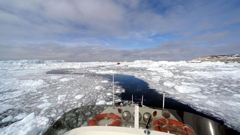    Фото: YOUNGHO CHO/Shutterstock/Fotodom