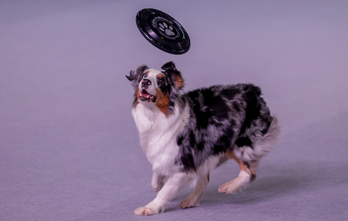 Михаил Синицын/ТАСС