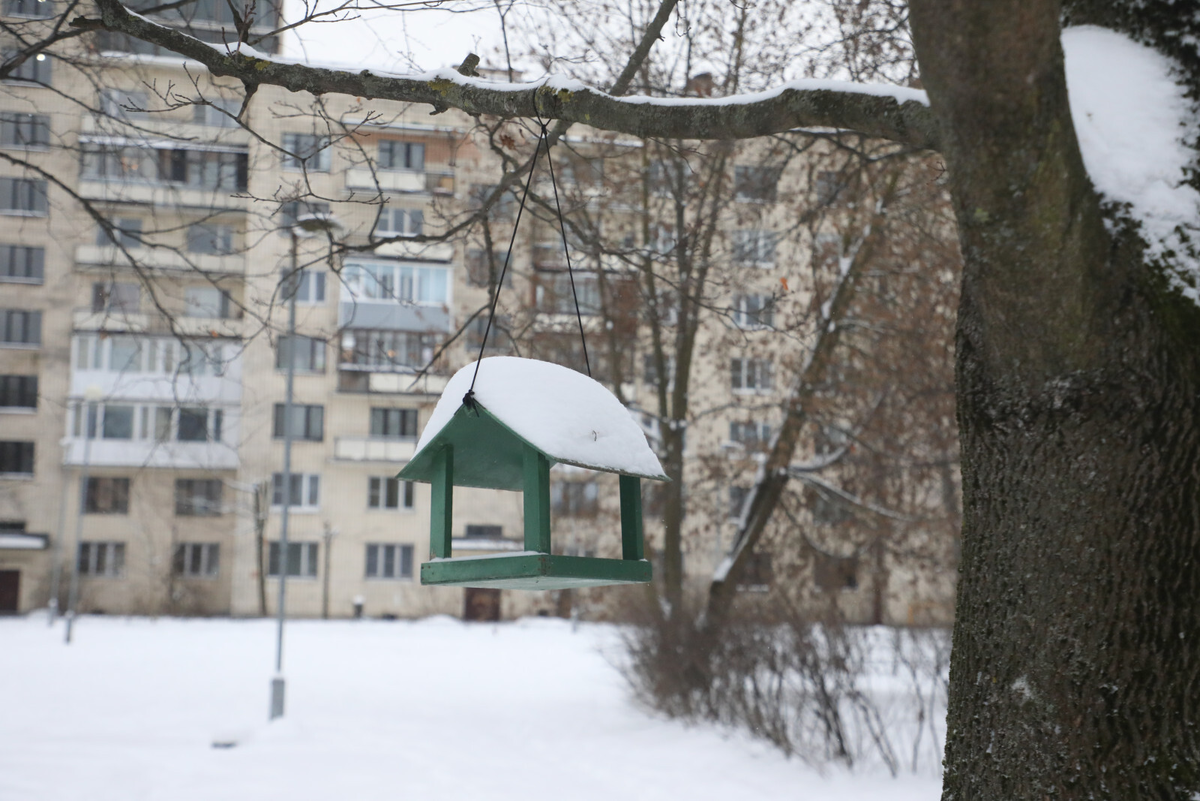 Фото: Александр Глуз