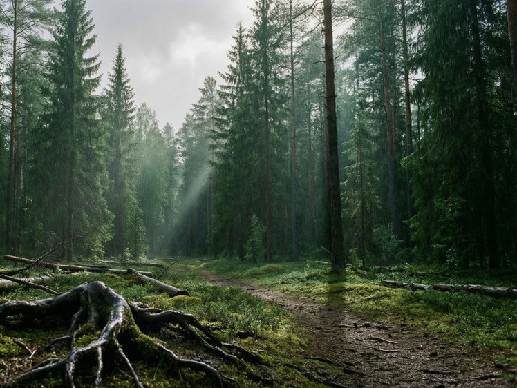     Фото создано с помощью технологий искусственного интеллекта