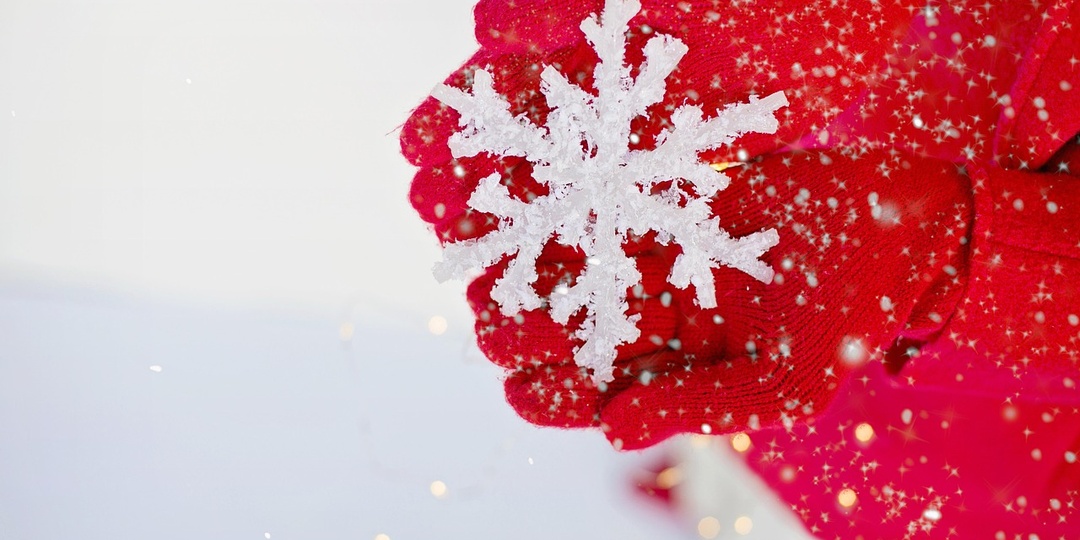 Три курса, на которые можно записаться прямо сейчас