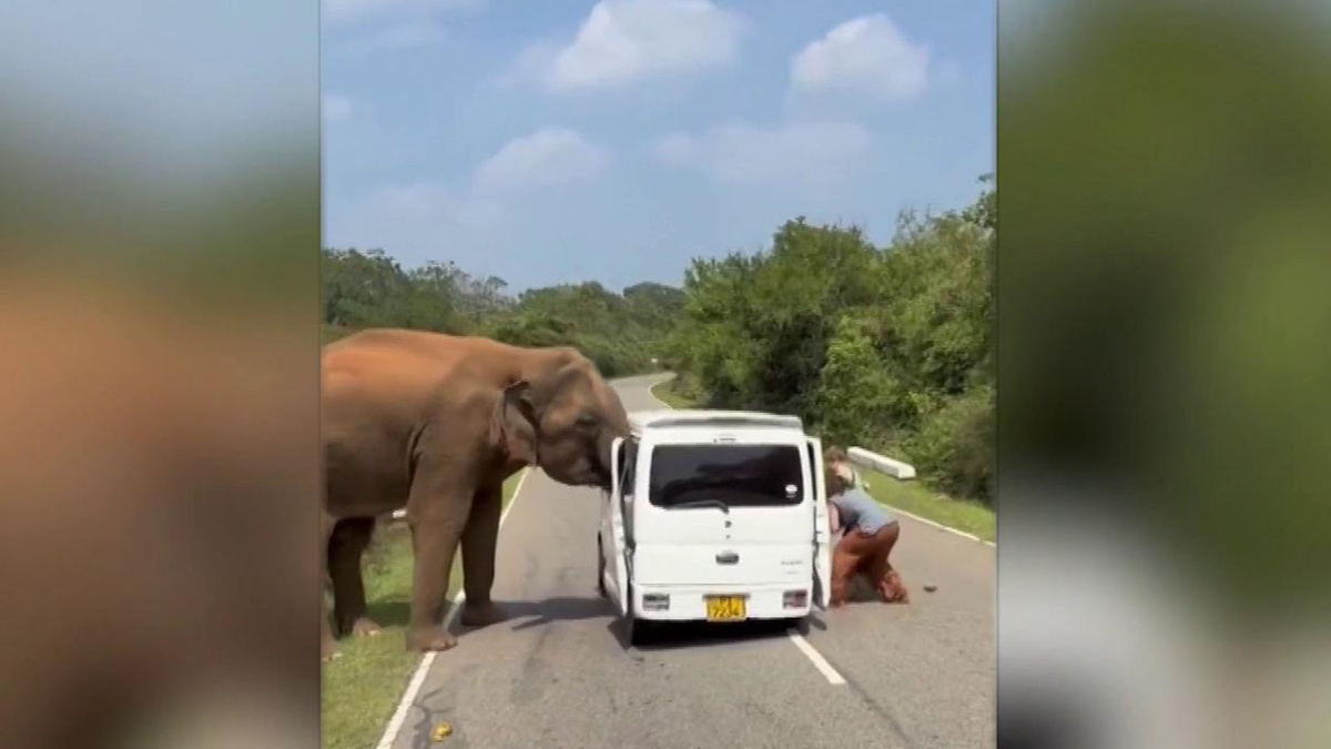    Первый канал