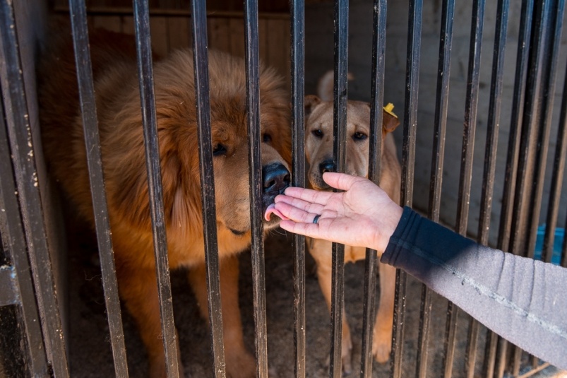     Тематическое фото. Фото: ИА OmskMedia