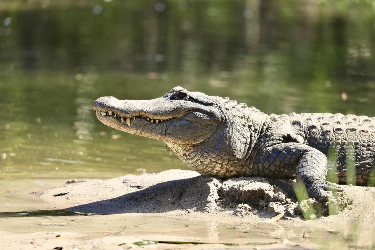     / Источник: © Cover Images/Global Look Press