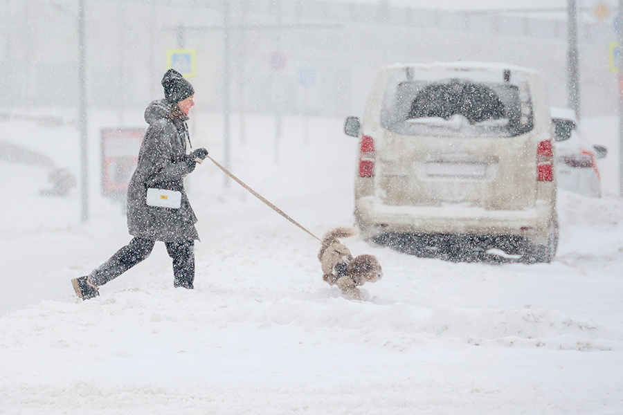    ©Агентство городских новостей "Москва"