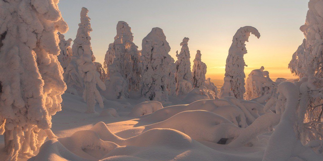 По пути на вершину Полюда, нам повстречались настоящие застывшие великаны