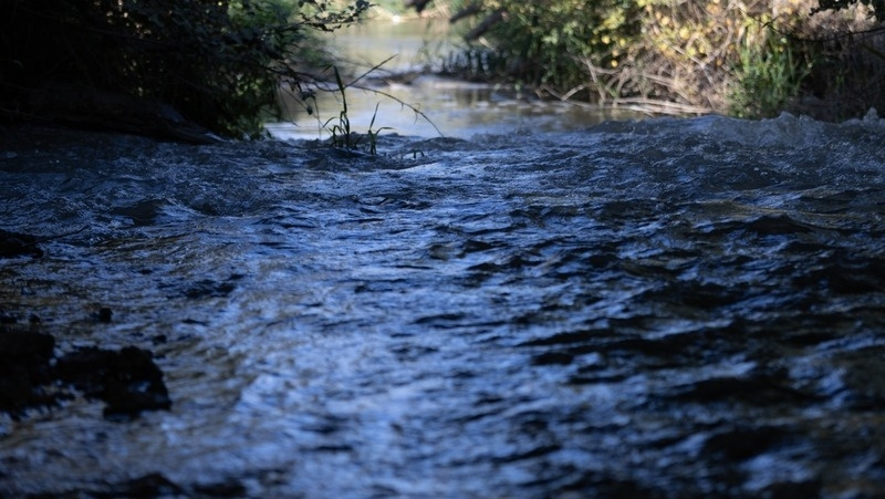      Фото: Валерия Алтухова / / ИА «Победа26»
