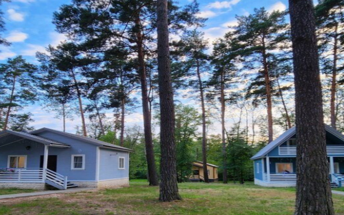    Турбазу «Елки» продают под Воронежем за 180 млн рублей фото: сайт «Авито»