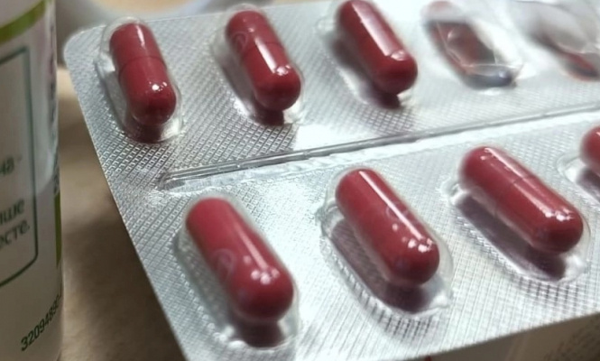    фото: © «Столица на Онего»