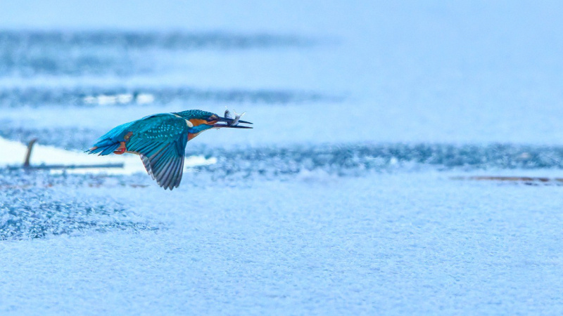    t.me/kazdoytvaripopare