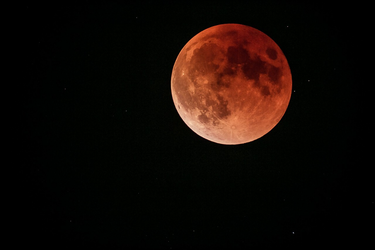    Фото: Андрей Никифоров