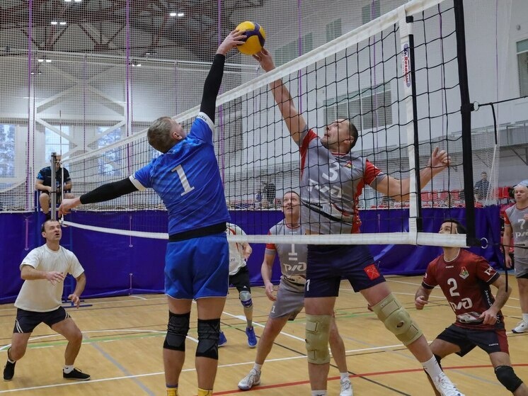     Фото: телеграм-канал администрации Выборгского района.