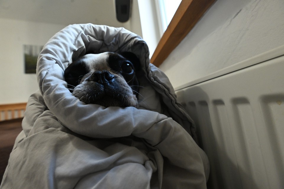    Несколько десятков домов остались без отопления Евгения ГУСЕВА