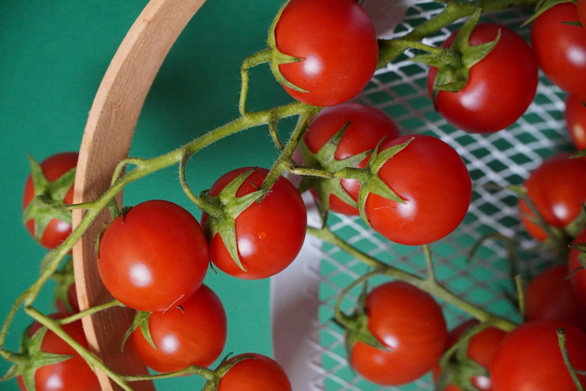 Фото: Karolina Kołodziejczak on Unsplash