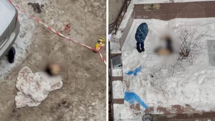 В Санкт-Петербурге обнаружили тело мужчины с отсечённой головой. Обложка © Telegram/ Mash на Мойке