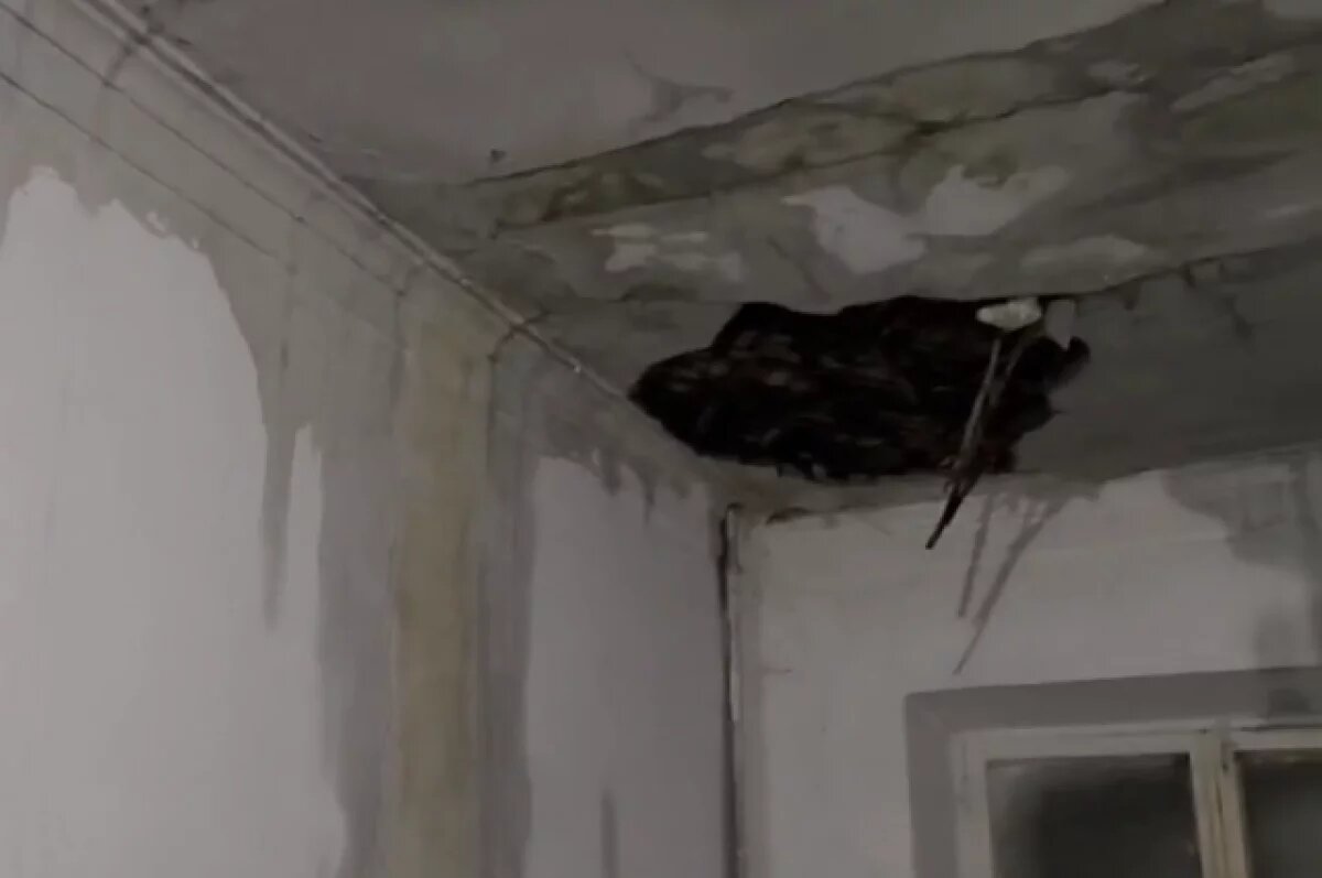    Люди с ожогами.