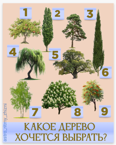 выбирайте интуитивно