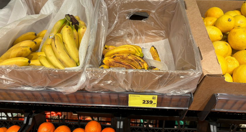    Фото newtambov.ru