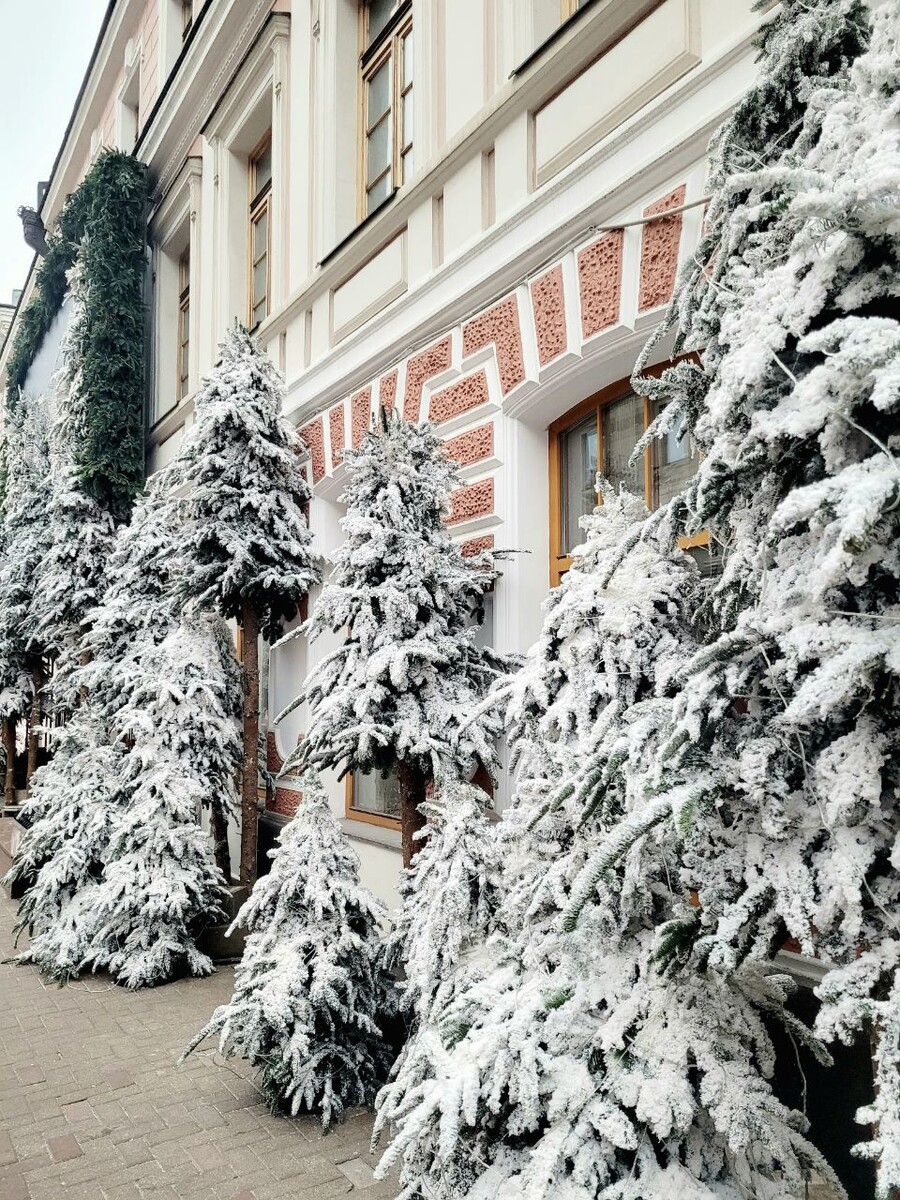 Ёлки надоели, хочу пальмы