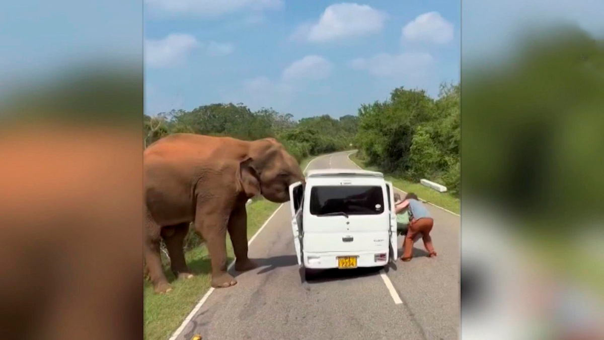    Первый канал