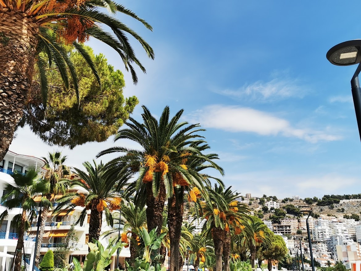 Пальмы - пожалуй, один из главных символов "другой жизни" у россиян.