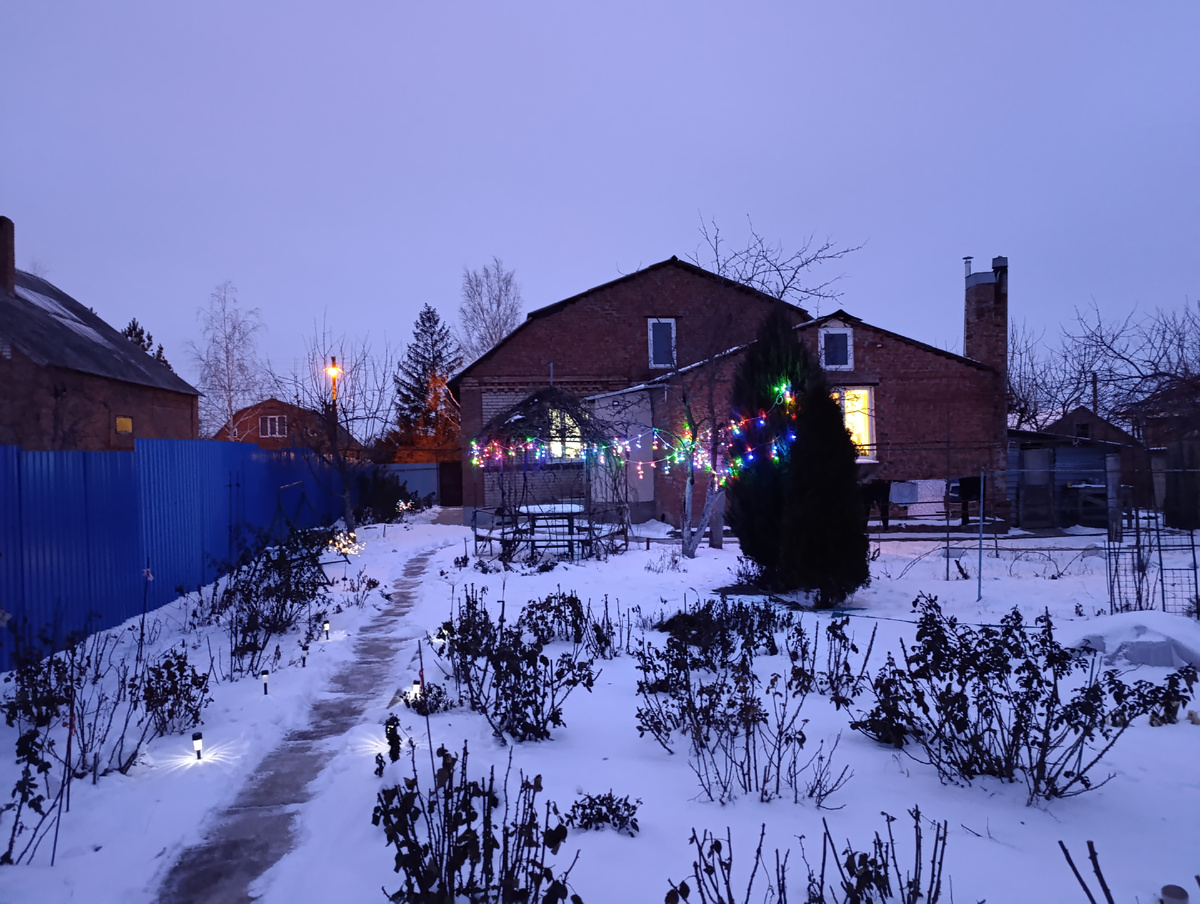 Присыпало снегом  неплохо Фото автора канала Птичка Степная 