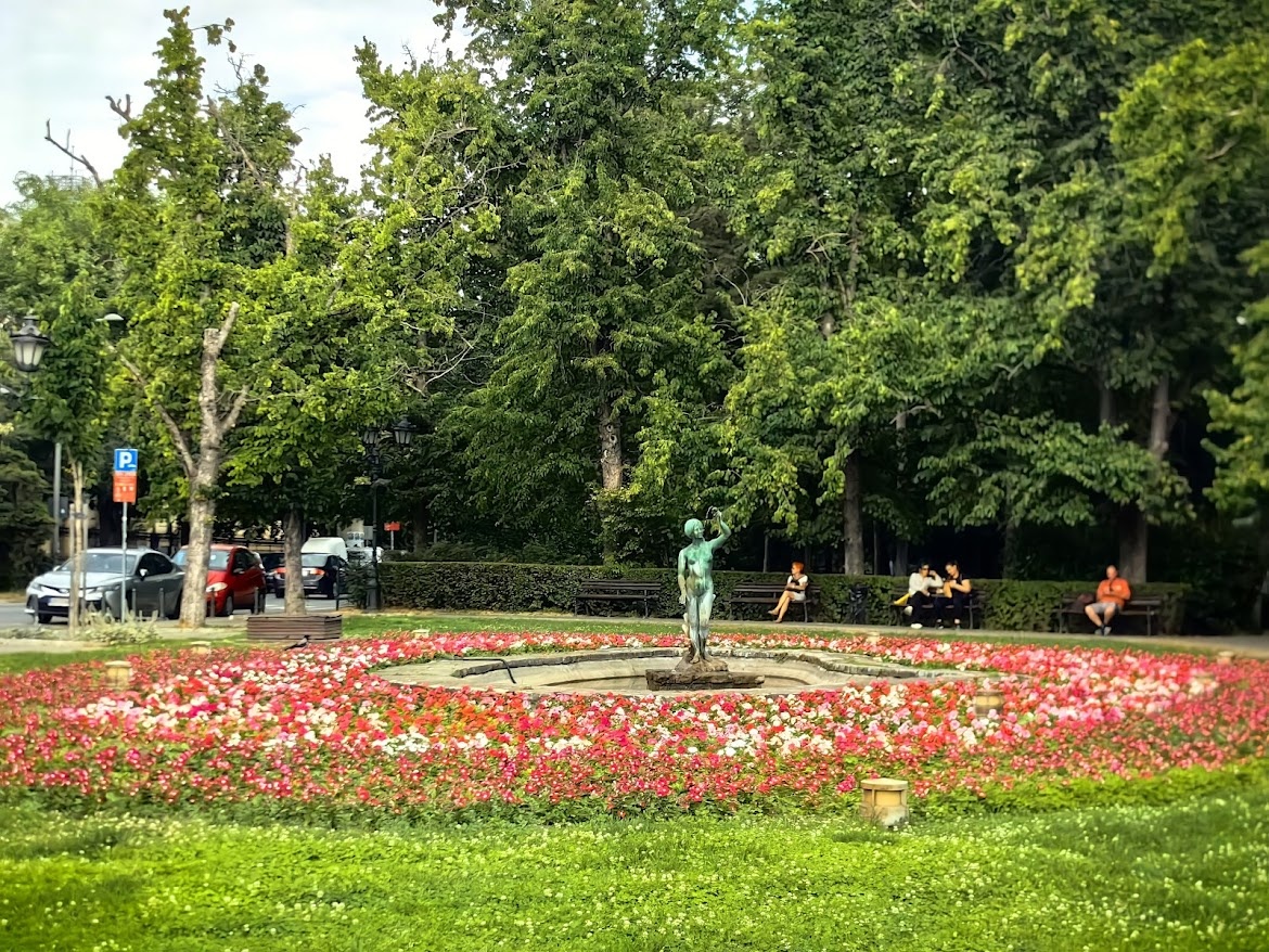 Сербская девушка в цветнике, Нови-Сад