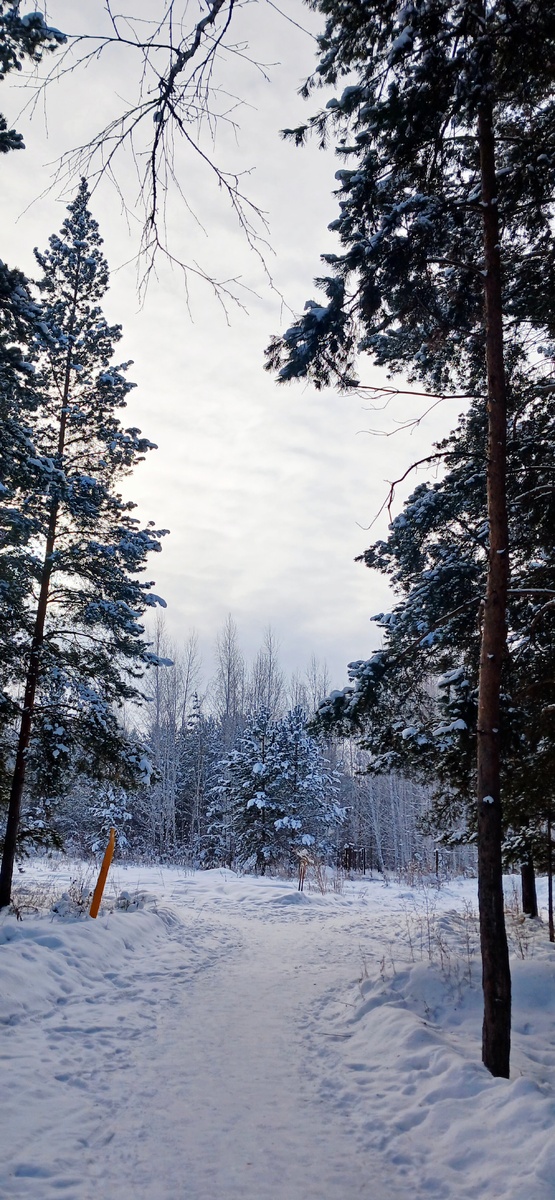 "Доброе утро, мир! Ты прекрасен!" Фото автора