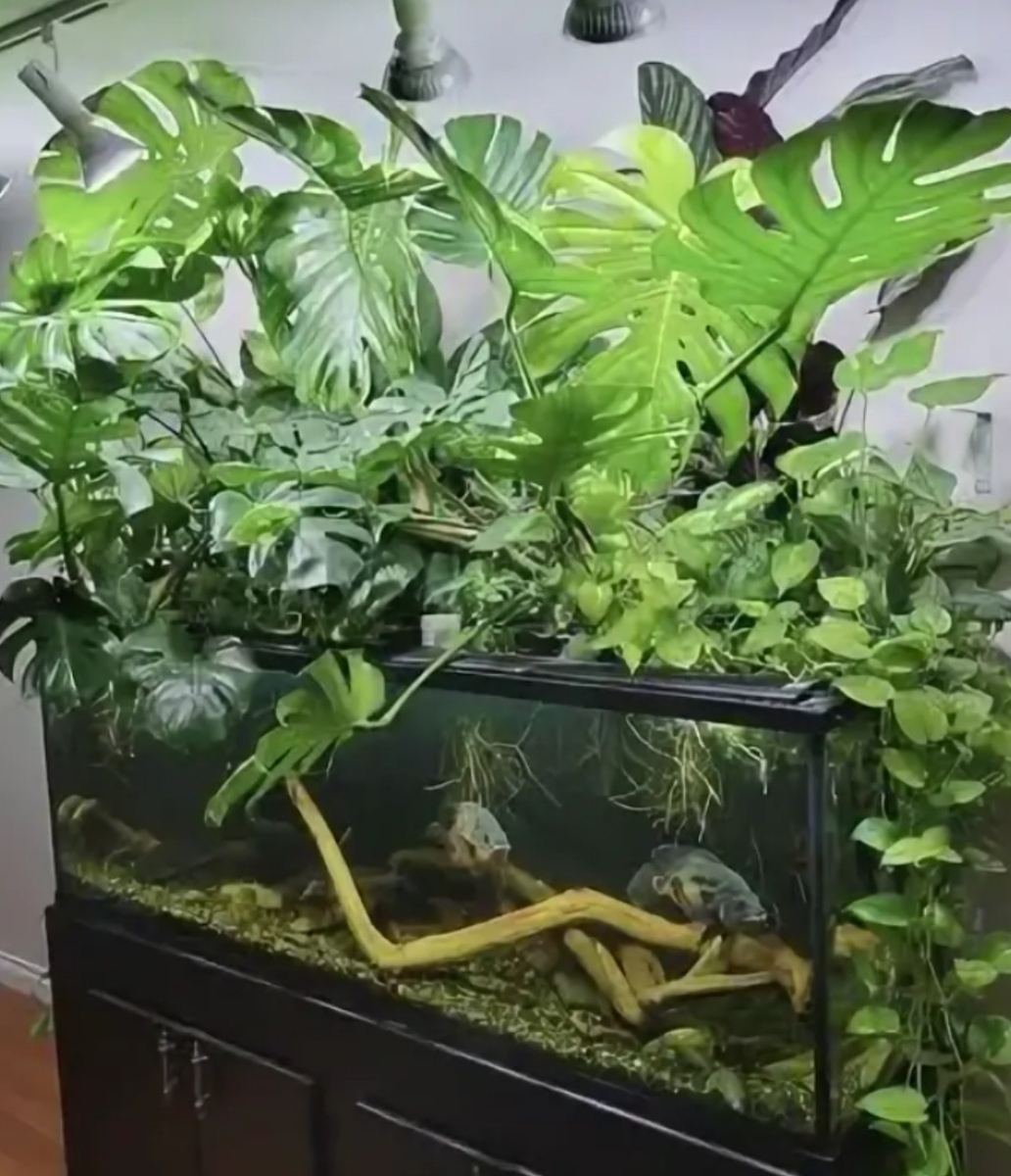 Фотография взята с открытого источника