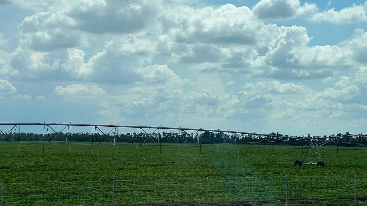    Фото: телеканал «Краснодар»