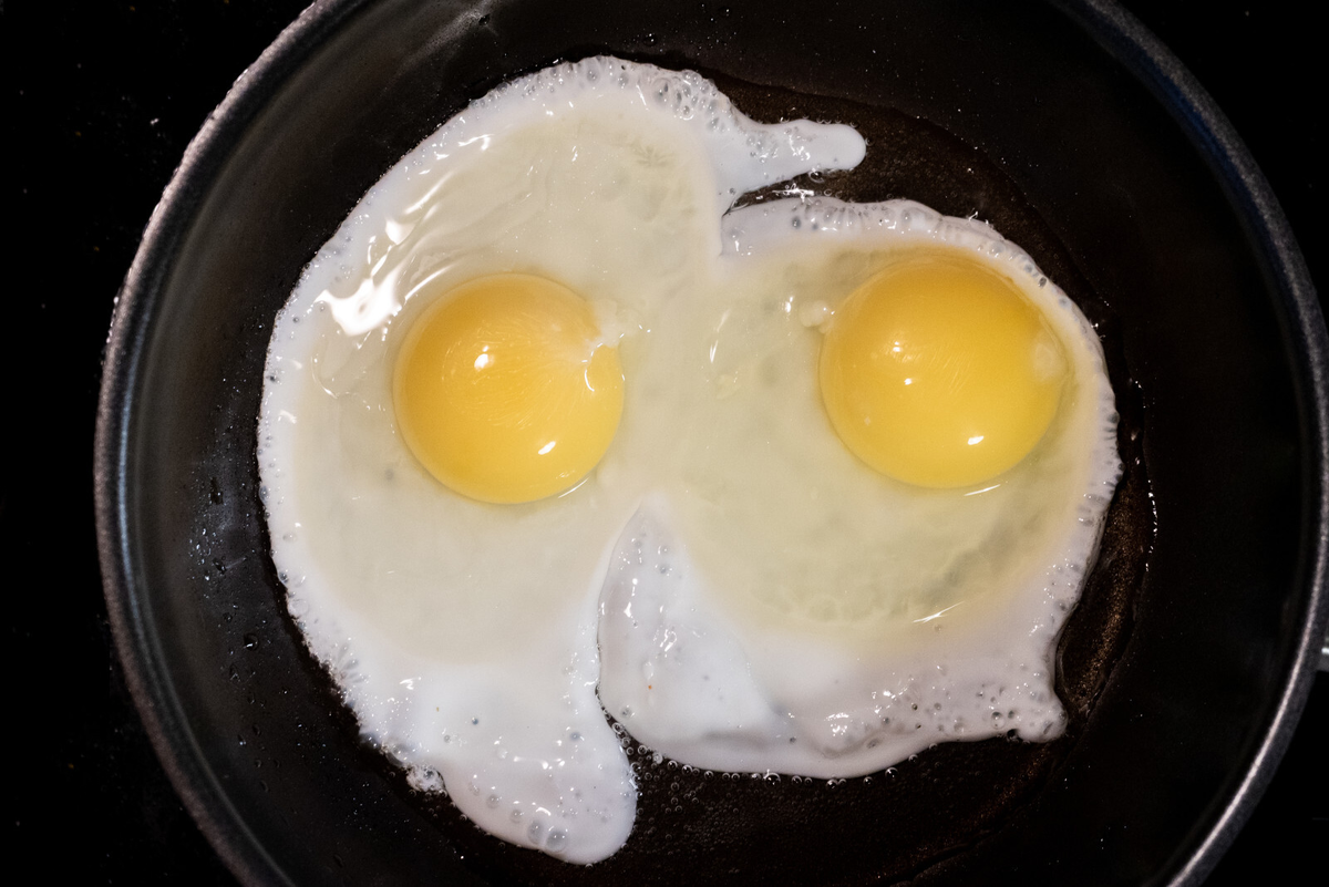 Фото: Олег Золото / «Петербургский дневник»